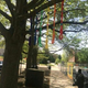 Colorful nooses found on the campus of Austin Peay State University in Clarksville, Tenn. The school says an investigation uncovered that they were part of an artistic display.
Twitter